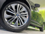LEVORG LAYBACK