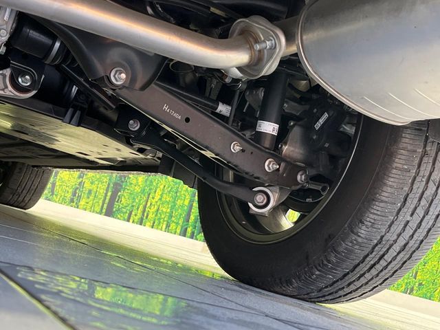 LEVORG LAYBACK