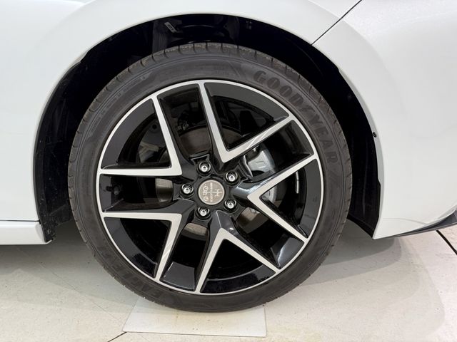 M55