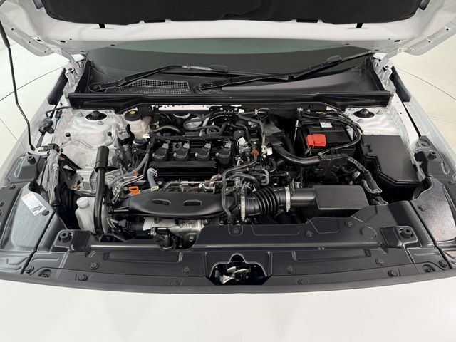 M55