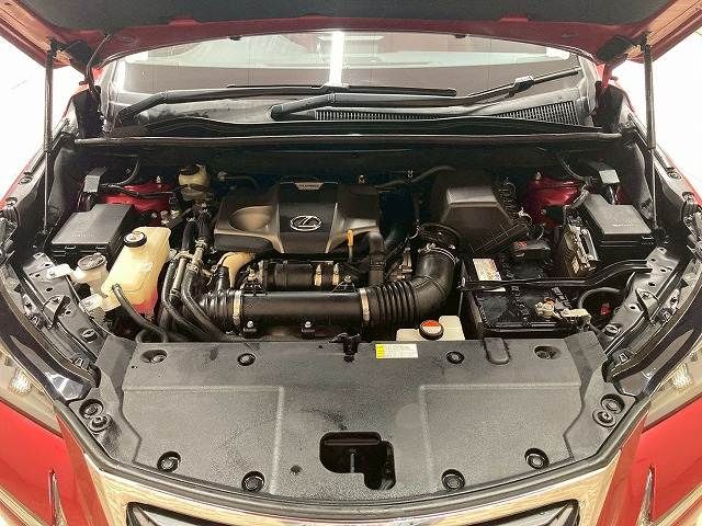 LEXUS NX200t