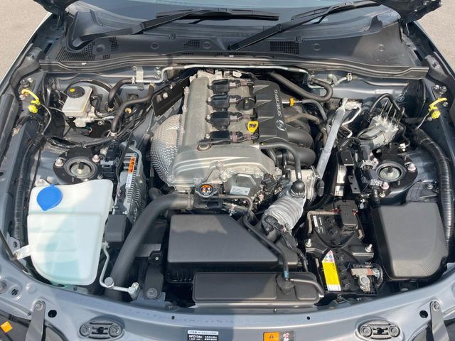 ROADSTER RF