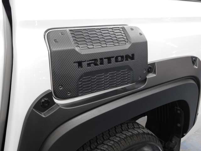 TRITON