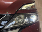 SERENA  S-HYBRID