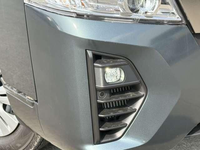 CARAVAN van 4WD