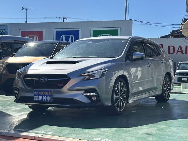 LEVORG