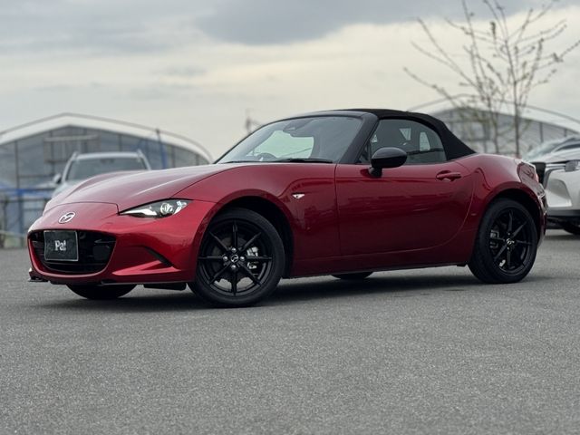 ROADSTER