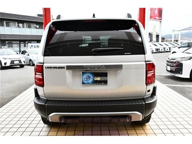 LANDCRUISER 250