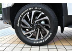 LANDCRUISER 250