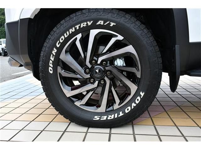 LANDCRUISER 250