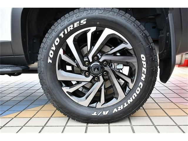 LANDCRUISER 250