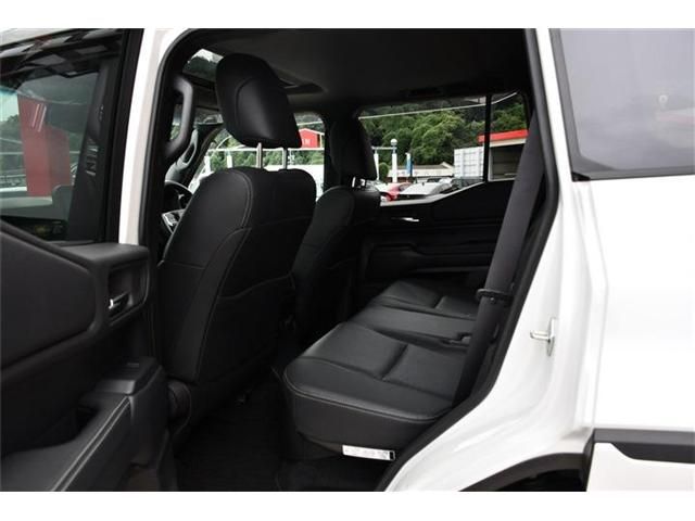 LANDCRUISER 250