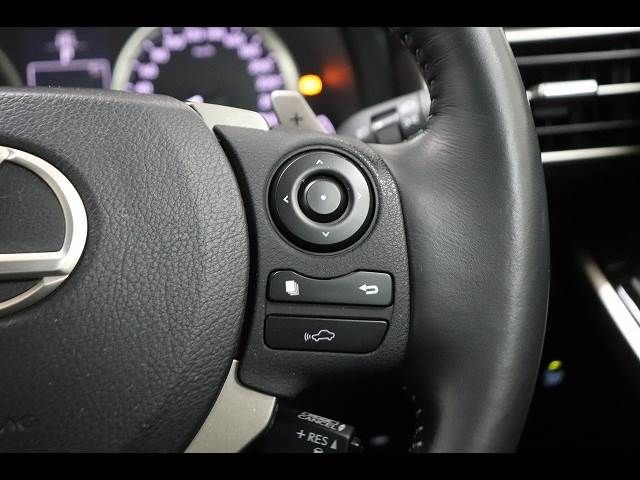 LEXUS IS300h