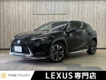 LEXUS UX250h