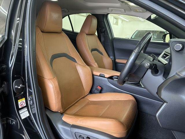 LEXUS UX250h