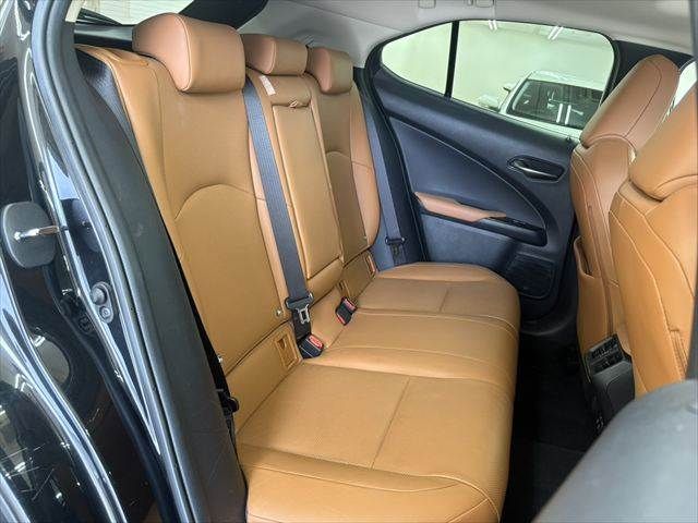LEXUS UX250h