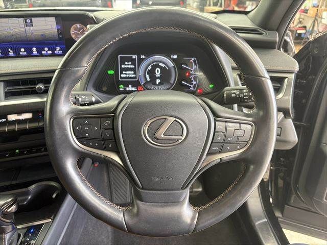 LEXUS UX250h