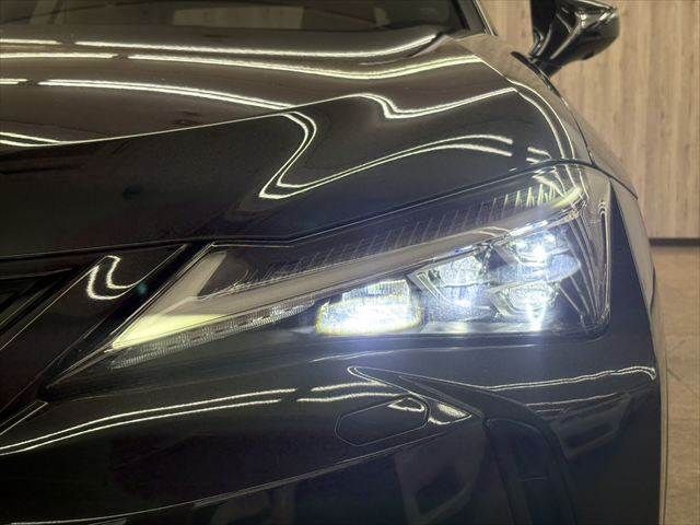 LEXUS UX250h