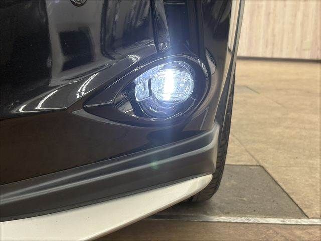 LEXUS UX250h