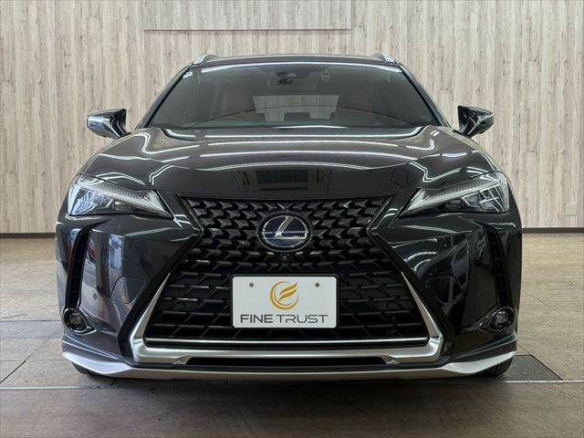 LEXUS UX250h
