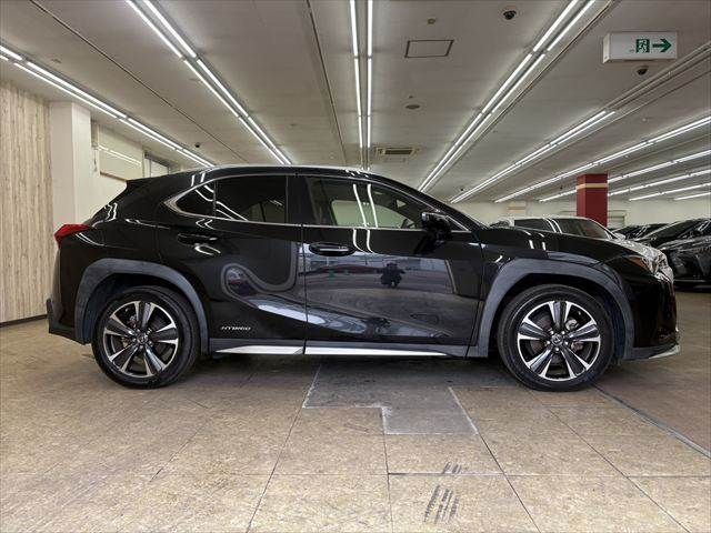 LEXUS UX250h