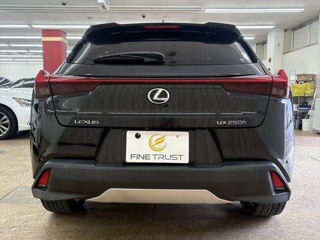 LEXUS UX250h