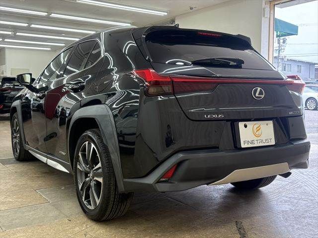 LEXUS UX250h