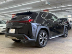 LEXUS UX250h