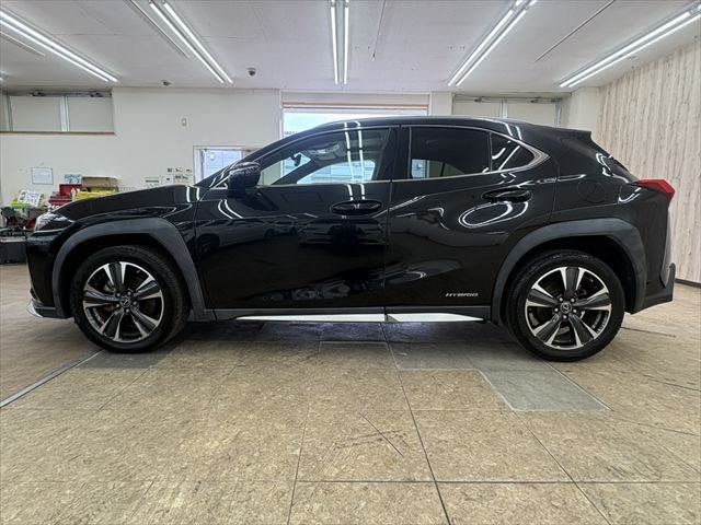 LEXUS UX250h