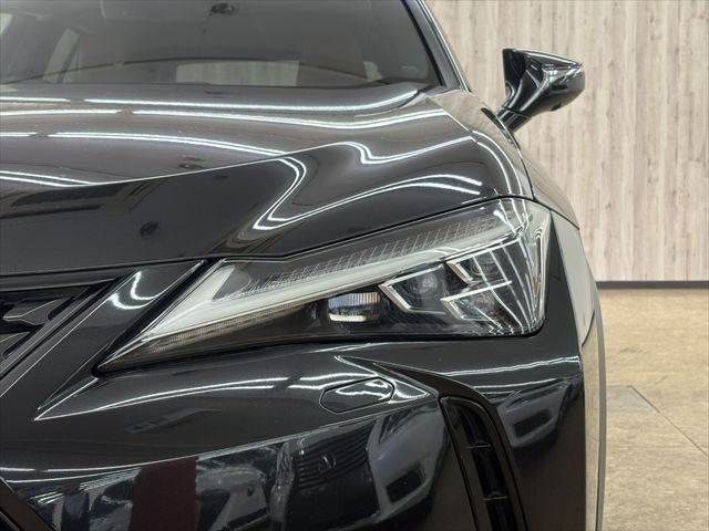 LEXUS UX250h