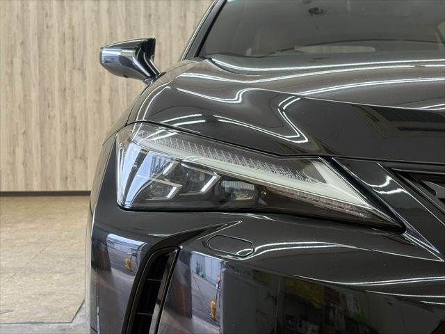 LEXUS UX250h