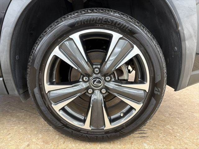 LEXUS UX250h