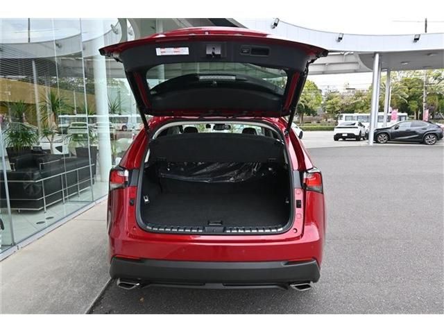LEXUS NX200t