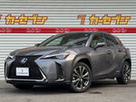 LEXUS UX250h
