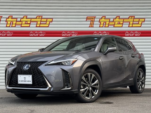 LEXUS UX250h