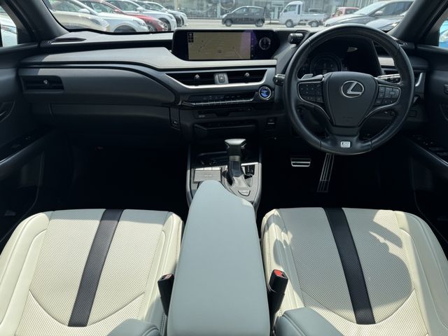 LEXUS UX250h