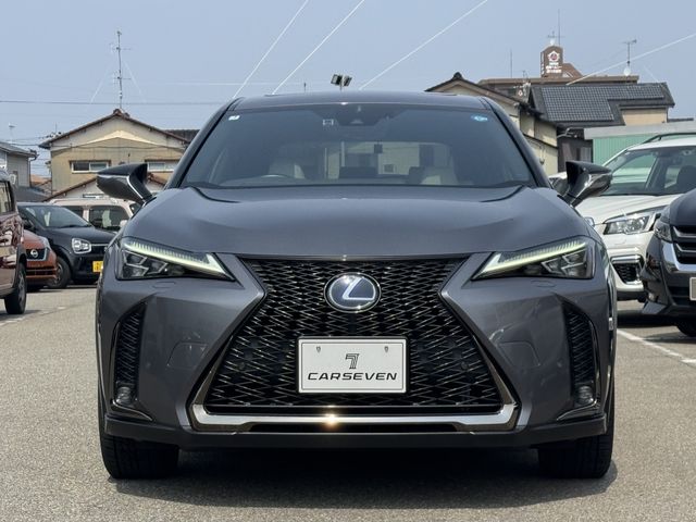 LEXUS UX250h