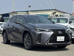 LEXUS UX250h