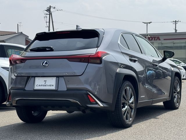 LEXUS UX250h