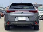 LEXUS UX250h