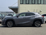 LEXUS UX250h
