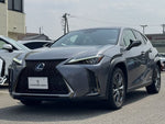 LEXUS UX250h