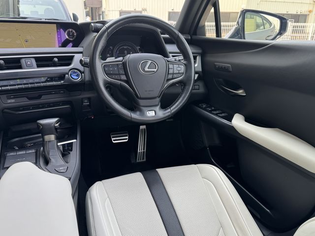 LEXUS UX250h