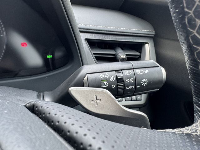 LEXUS UX250h