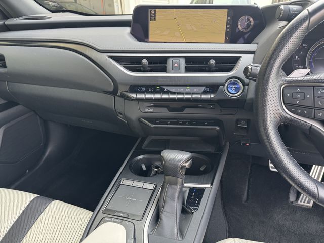 LEXUS UX250h