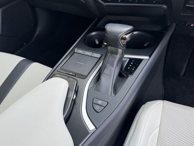 LEXUS UX250h