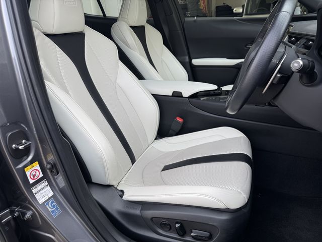 LEXUS UX250h