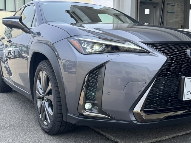 LEXUS UX250h