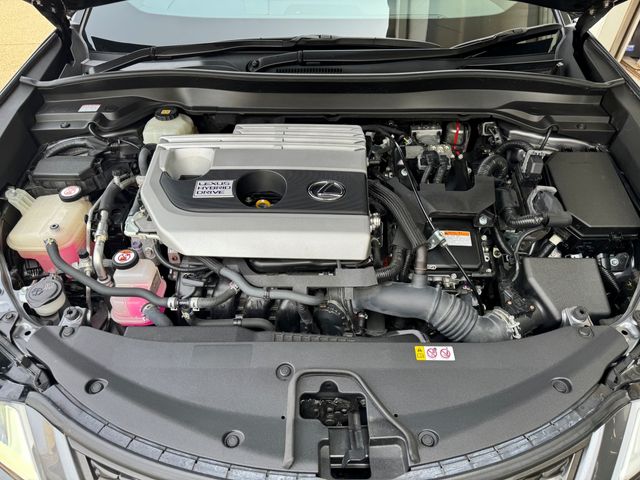 LEXUS UX250h