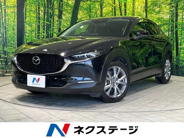 CX-30